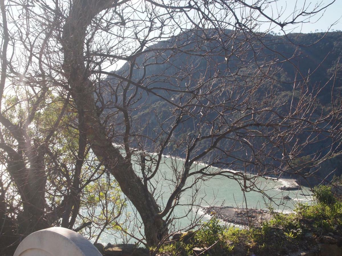 da Benedetta Hotell Monterosso al Mare Eksteriør bilde