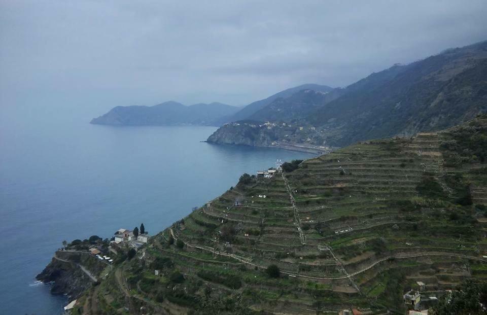 da Benedetta Hotell Monterosso al Mare Eksteriør bilde
